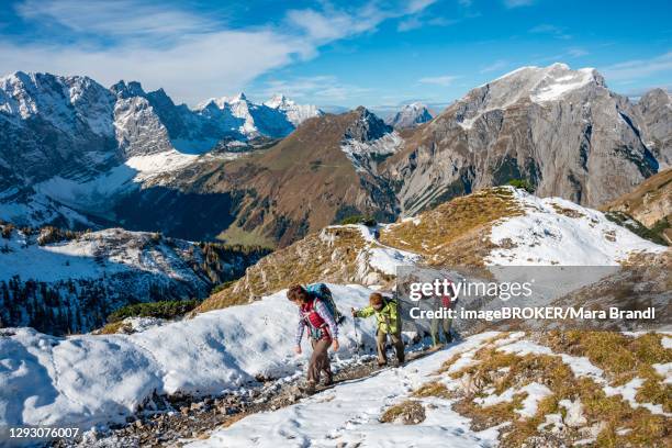 three hikers on hiking trail with snow in autumn, hike to the summit of the hahnenkampl, view of snow-covered peaks laliderspitze, dreizinkenspitze and spritzkarspitze, behind gamsjoch and gramaijoch, engtal, karwendel, tyrol, austria - hiking across the karwendel mountain range stock pictures, royalty-free photos & images