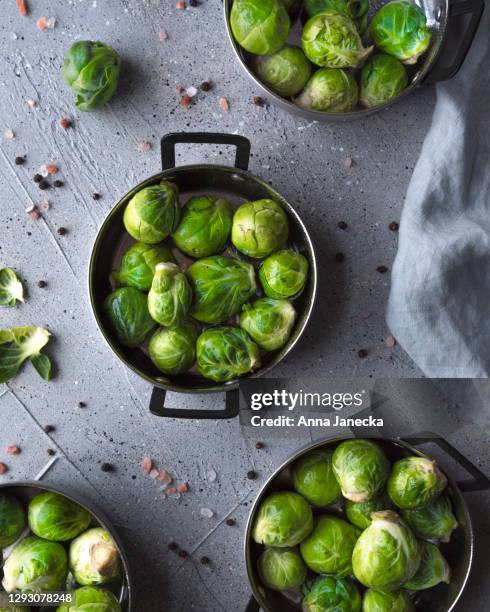 brussels sprouts - rosenkohl stock-fotos und bilder