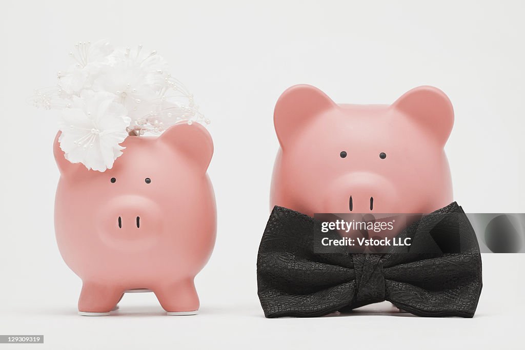 Studio shot of piggy banks dressed up as bride and groom