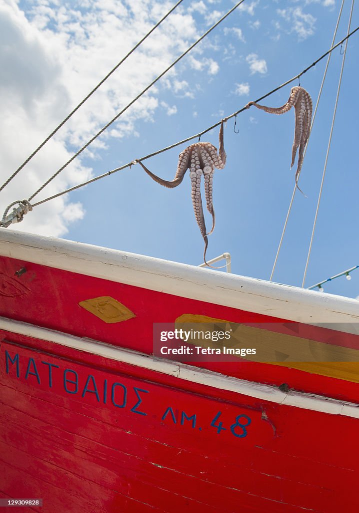 Greece, Cyclades Islands, Mykonos, Sun drying octopus on fishing boat