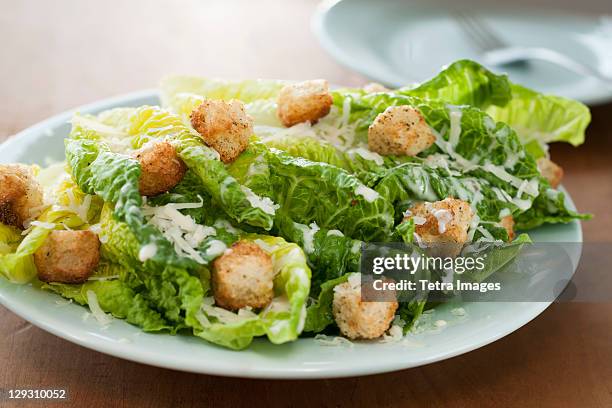 fresh caesar salad on plate - ceasarsallad bildbanksfoton och bilder