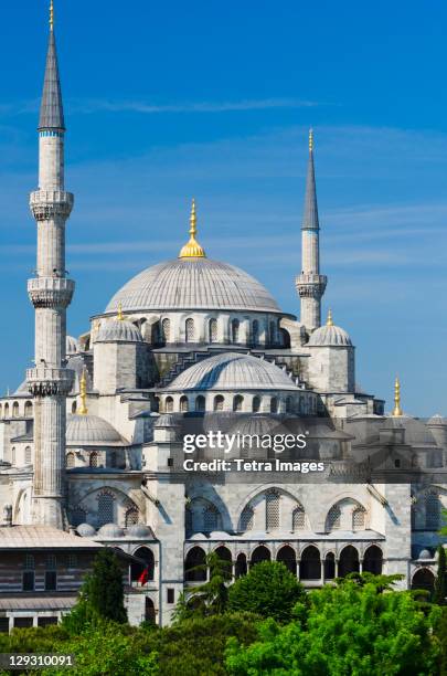 turkey, istanbul, blue mosque - mezquita azul fotografías e imágenes de stock