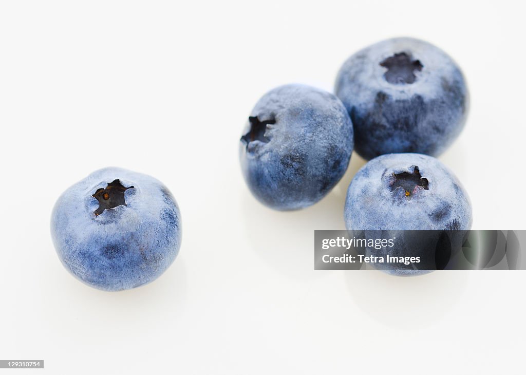 Studio shot of blueberries