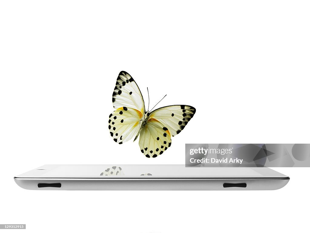 Studio shot of butterfly over digital tablet