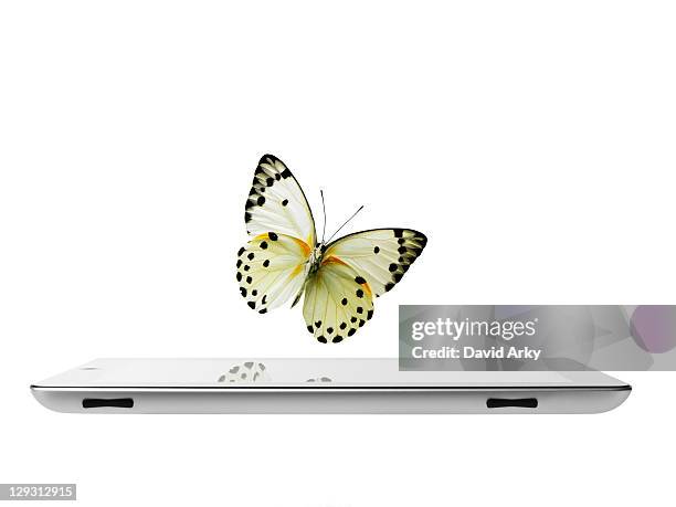 studio shot of butterfly over digital tablet - papillon fond blanc photos et images de collection