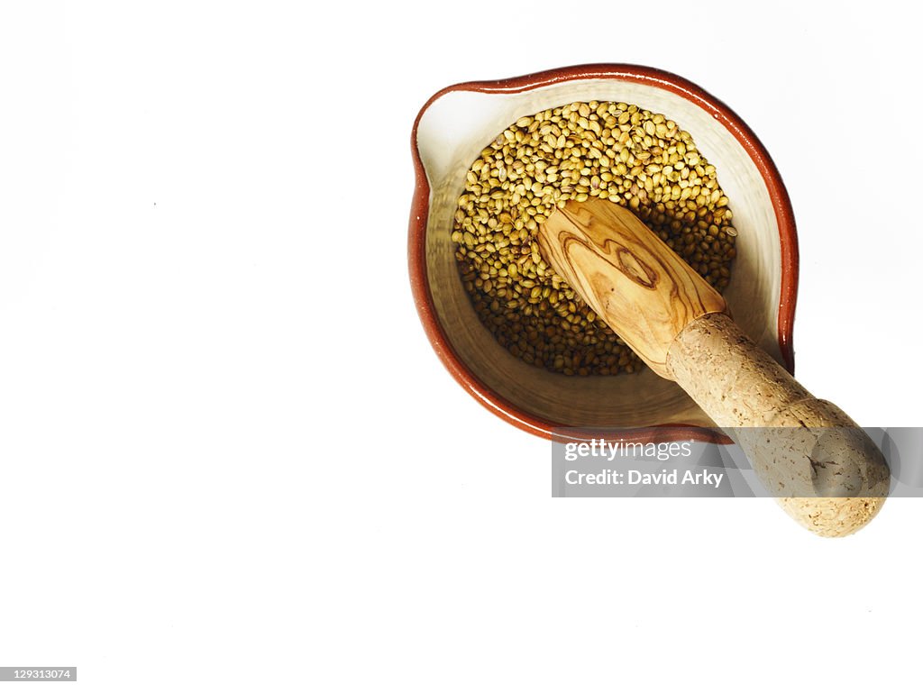 Studio shot of Mortar and Pestle with Mustard Seeds on white background