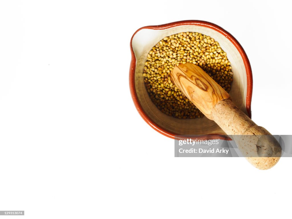 Studio shot of Mortar and Pestle with Mustard Seeds on white background