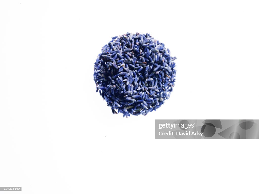 Studio shot of Pile of Lavender on white background