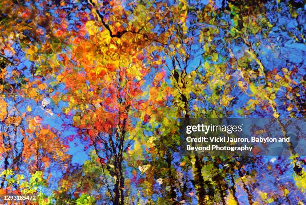 beautiful fall colors reflected in water on pond on long island - 印象派 ストックフォトと画像