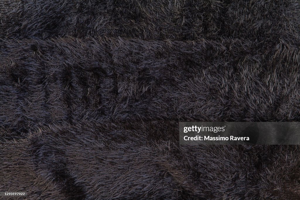 Black Fur