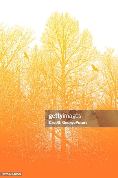 late autumn trees and raven - low angle walking path stock illustrations