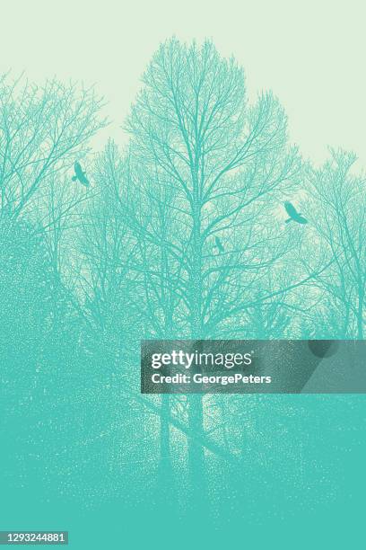 late autumn trees and raven - forest path stock illustrations