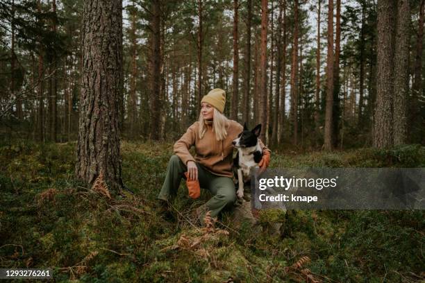 woman and her dog out on hike in nature forest landscape - winter woods stock pictures, royalty-free photos & images