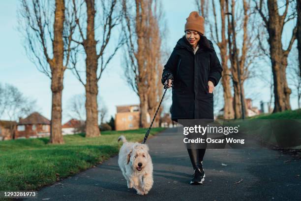 young woman walking dog in the park - dog walker 個照片及圖片檔