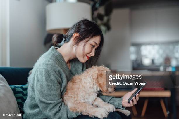 young woman taking selfie with her dog with smartphone - pet insurance stock pictures, royalty-free photos & images