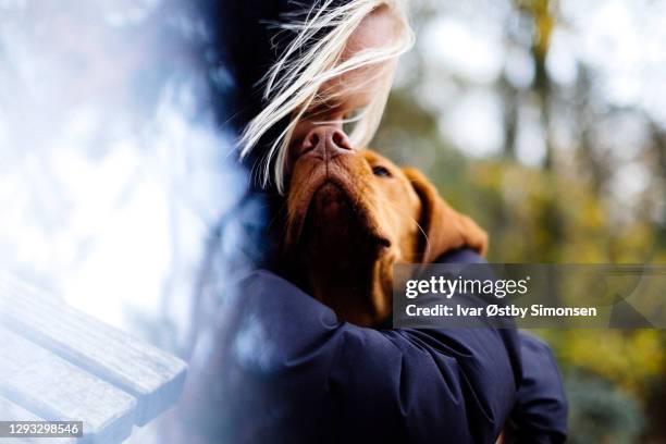 jeune propriétaire d’étreinte de crabot - vizsla photos et images de collection