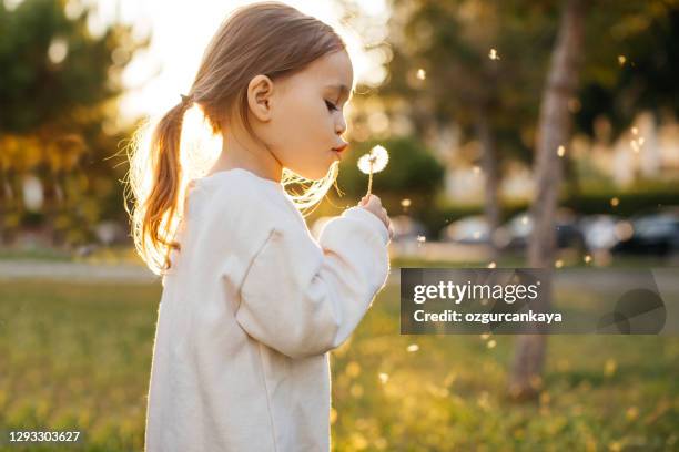 gelukkig meisje dat paardebloem blaast - child dandelion stockfoto's en -beelden