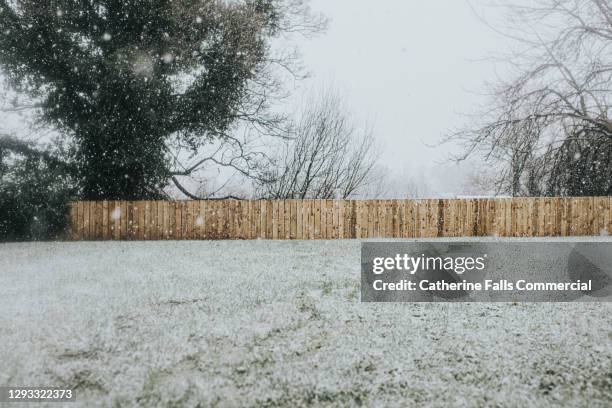 garden covered in snow. untreated wooden fence in the distance. - winter weather stock-fotos und bilder