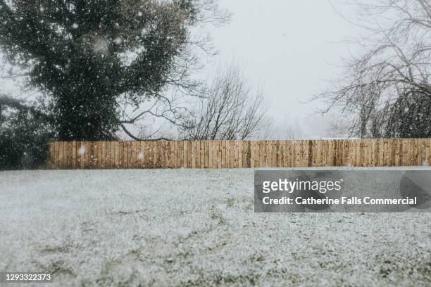 garden covered in snow. untreated wooden fence in the distance. - snow on grass stock pictures, royalty-free photos & images
