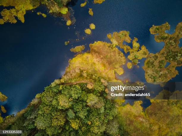 high angle view to the bog in the forest - andersdahl65 stock pictures, royalty-free photos & images