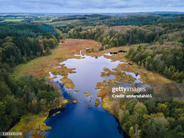 hoge hoeklandschapsmening aan het veen in het bos - veenmoeras stockfoto's en -beelden