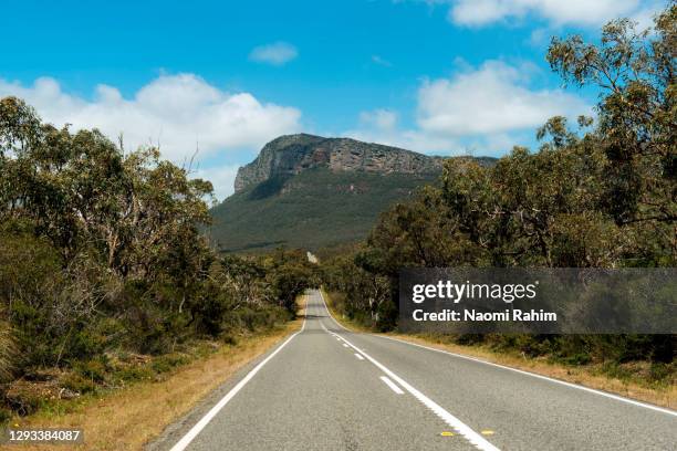 road to mount abrupt (mud-dadjug), grampians on a sunny day - grampians stock pictures, royalty-free photos & images