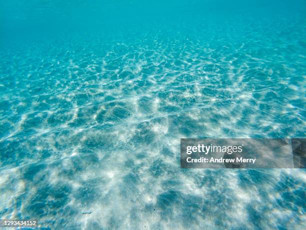 underwater sunlight wave pattern, blue sea, shallow ocean floor beach - seicht stock-fotos und bilder