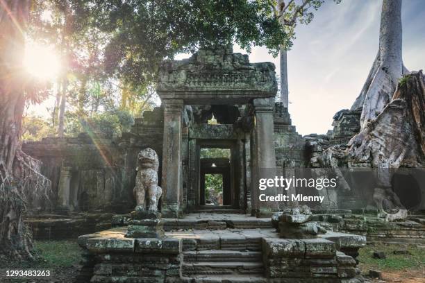 preah khan temple ancient khmer temple angkor wat complex siem reap cambodia - angkor wat stock pictures, royalty-free photos & images