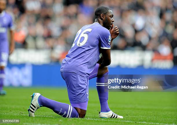 Ledley King of Tottenham Hotspur looks on after sustaining an injury during the Barclays Premier League match between Newcastle United and Tottenham...
