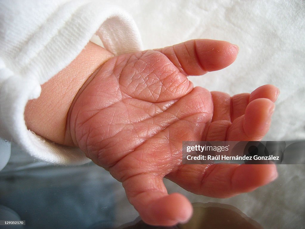 Newborn open hand