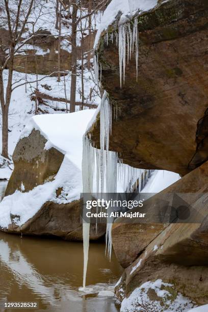 icicles everywhere - icicle macro stock pictures, royalty-free photos & images