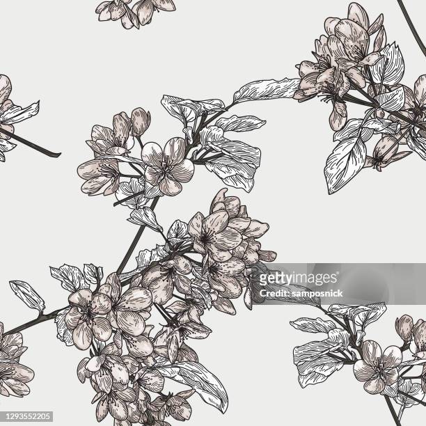 seamless crabapple blossom tree pattern - cherry blossom branch stock illustrations