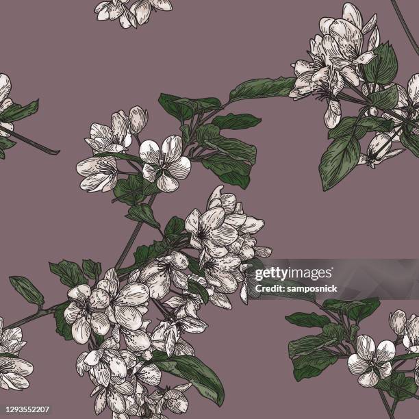 seamless crabapple blossom tree pattern - apple tree stock illustrations