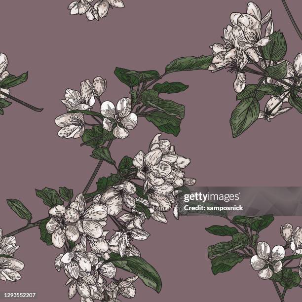 seamless crabapple blossom tree pattern - black white floral wallpaper stock illustrations