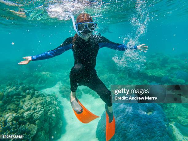 diver floating underwater, snorkelling, tourist looking at camera - great barrier reef stock-fotos und bilder