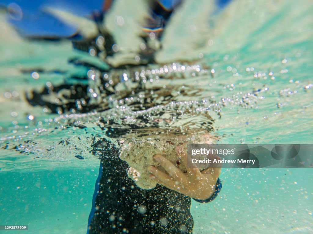 Child holding dead coral underwater, climate change, coral bleaching, Great Barrier Reef