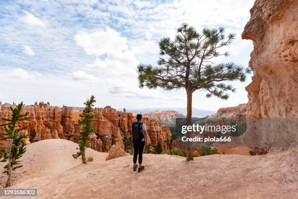 reizen in usa southwest: bij bryce canyon national park, peek-a-boo trail - grand canyon national park stockfoto's en -beelden