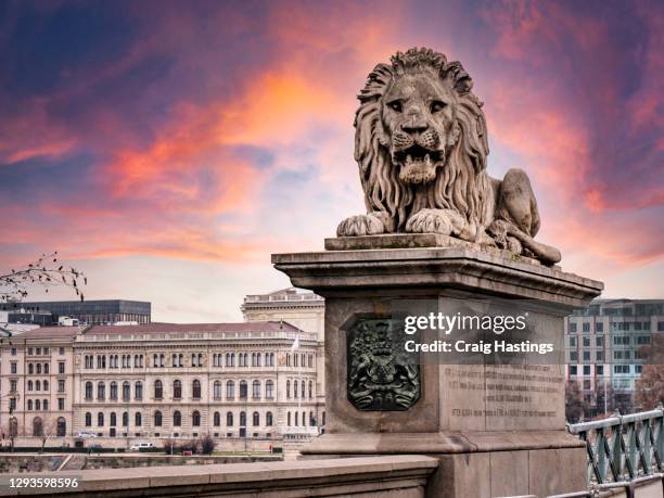 chain bridge in budapest, hungary - lion city photos et images de collection