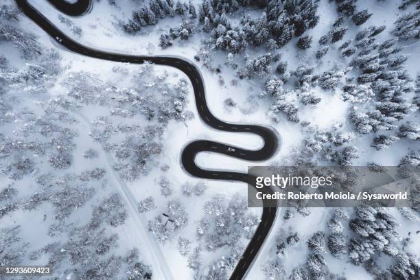 mountain road crossing the winter forest covered with snow - perfect storm stock pictures, royalty-free photos & images