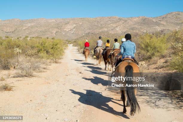 family on a trail ride in arizona desert - parque nacional de saguaro imagens e fotografias de stock