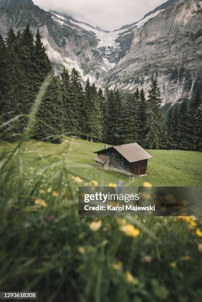 alpine hut - barraca imagens e fotografias de stock
