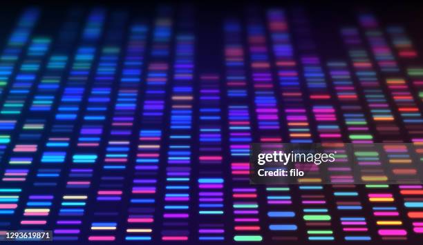 ilustrações, clipart, desenhos animados e ícones de dna sequenciamento de dados processando análise genômica genética - genómica