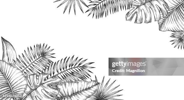 tropical plants leaves background - hawaiian culture stock illustrations