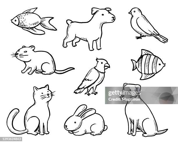 haustiere doodle set - animal themes stock-grafiken, -clipart, -cartoons und -symbole