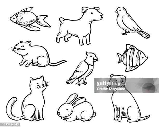 pets doodle set - domestic animals stock illustrations