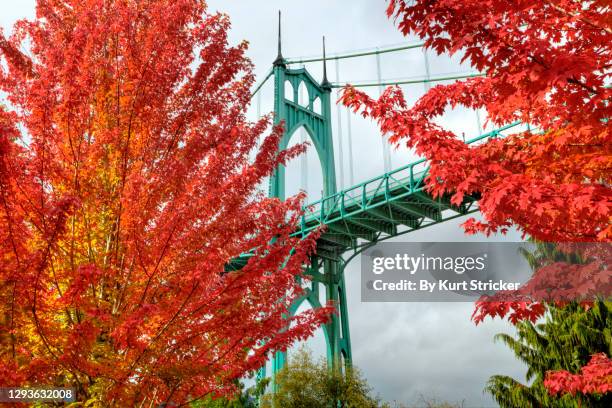 gothic architecture style suspension bridge framed by red leaves - portland oregon stock pictures, royalty-free photos & images