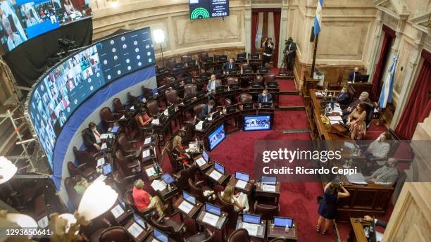 President of the Senate and Argentina’s Vice President Cristina Fernandez attends the senators session that would decide on the legalization of...