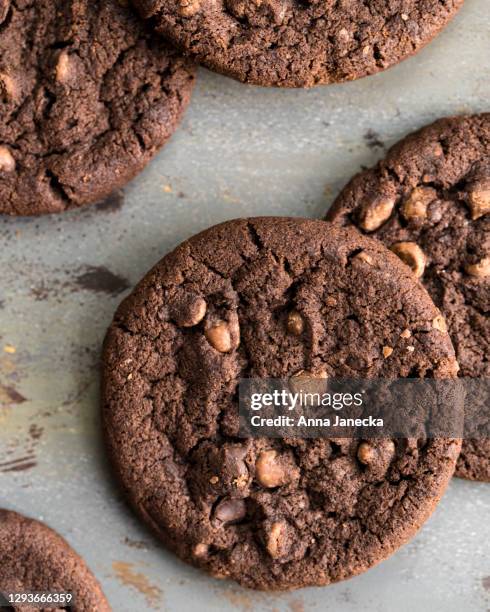 chocolate chip cookies - chocolate chip cookie stock-fotos und bilder