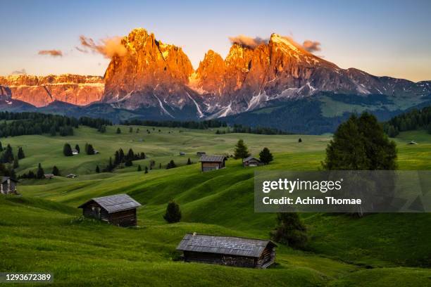 alpe di siusi (seiser alm), dolomite alps, italy, europe - alpenglow stock pictures, royalty-free photos & images