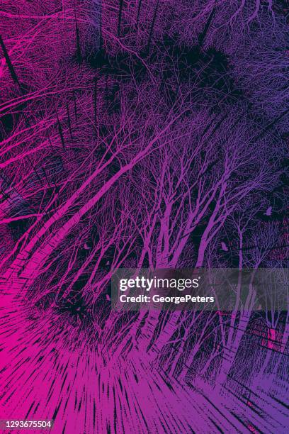 late autumn trees and raven - forest path stock illustrations